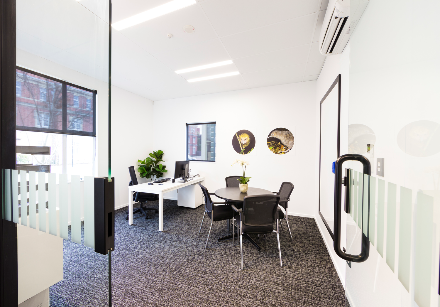 office fit out interior design queenstown