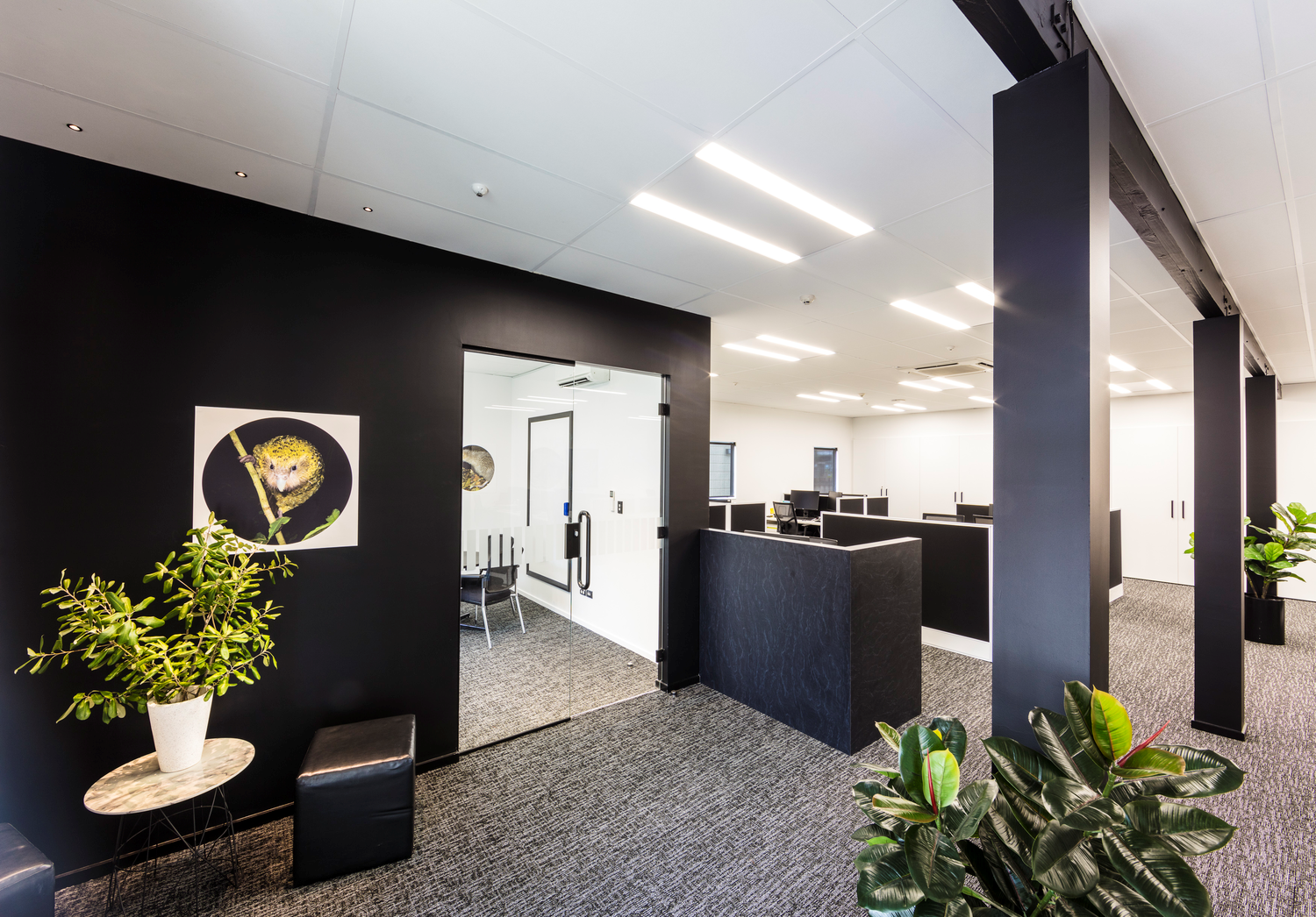 commercial interior design dunedin office fitout