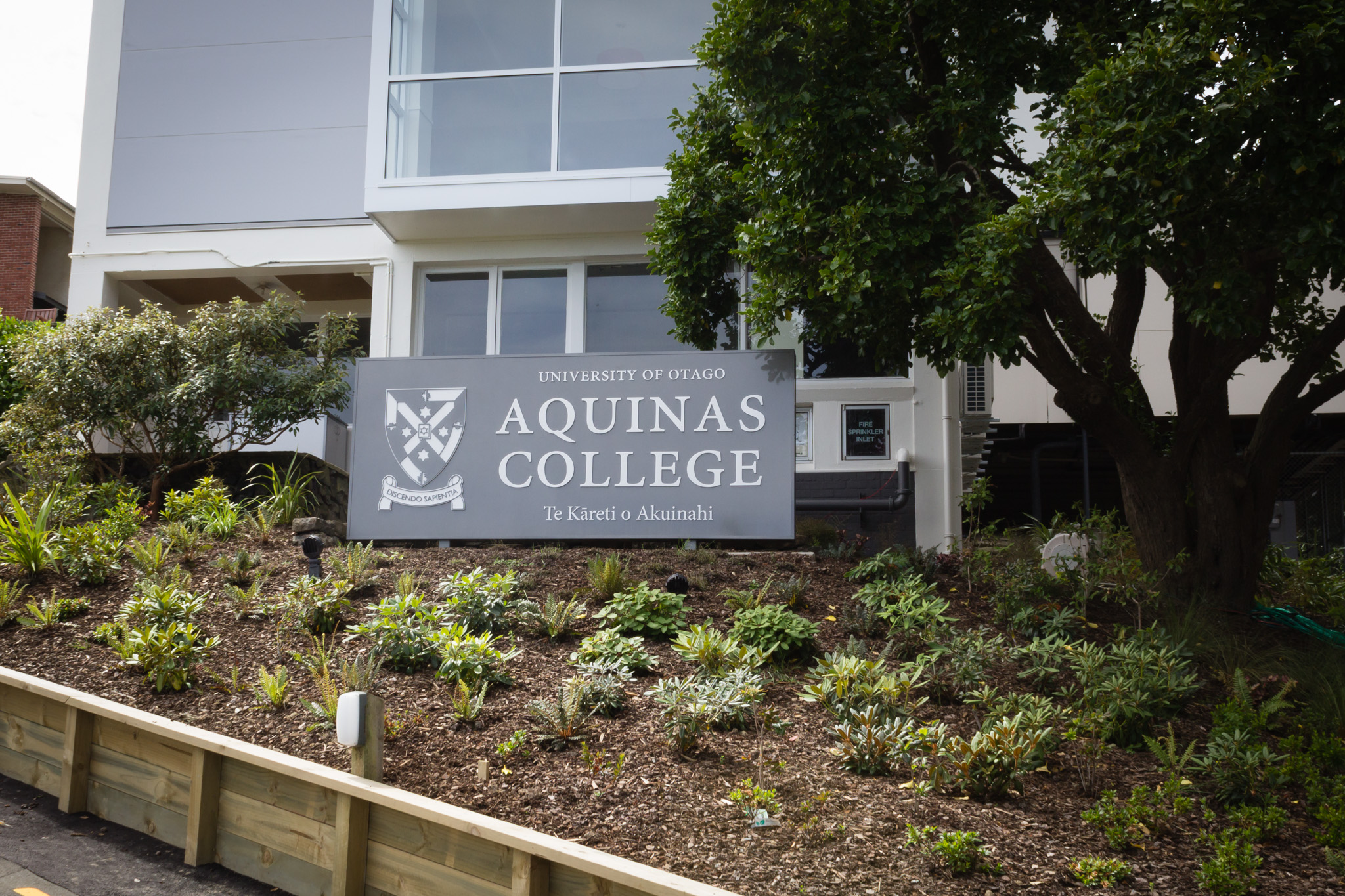 sign writers dunedin external branding