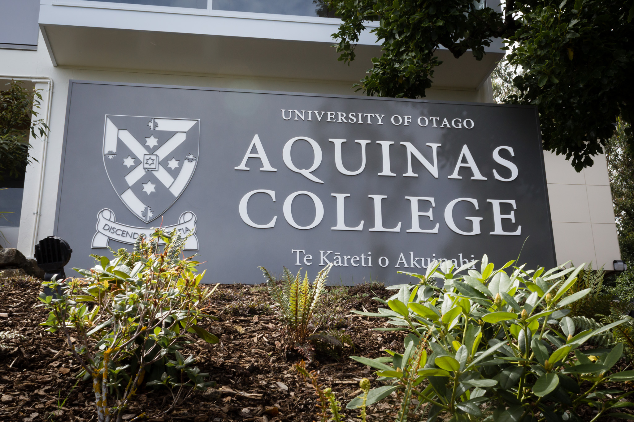 External signage dunedin Aquinas college thumbnail